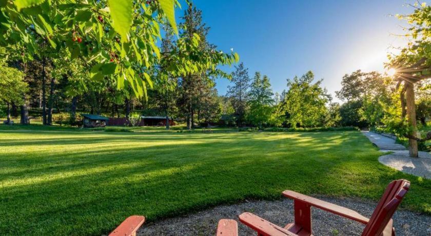 The Davies Family Inn - Adults Only Placerville Dış mekan fotoğraf